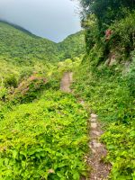 Caribisch-gebied_02