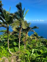 Caribisch-gebied_05