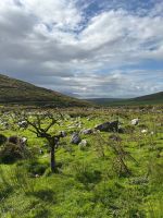 Dingle-03