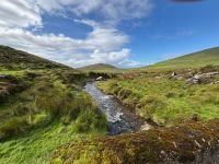 Dingle-05