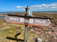 Dingle-11