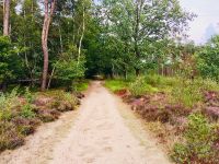 Veluwe_15